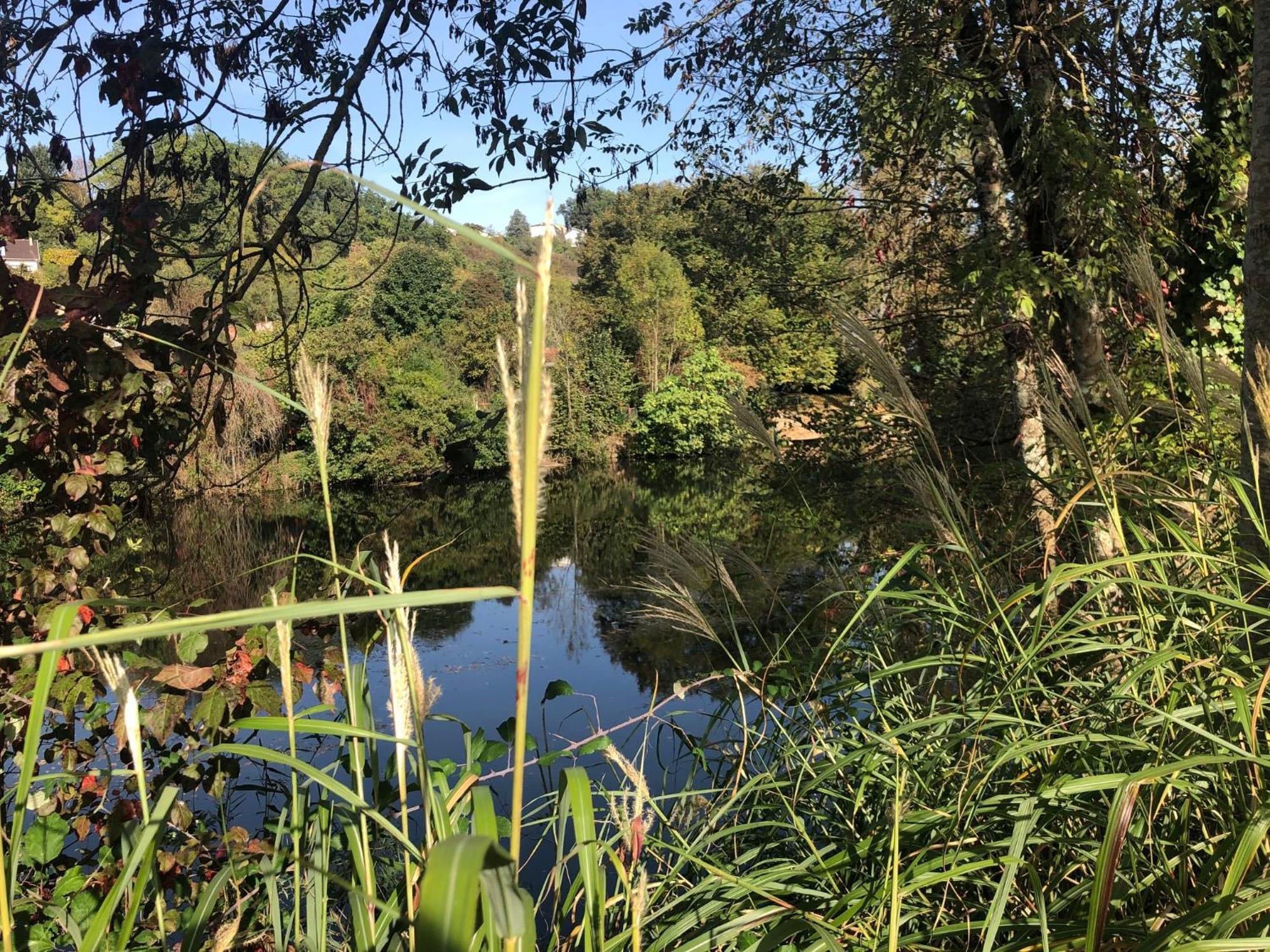 Demeure De Charme Vue Riviere Perigueux Piscine Parking Bed & Breakfast Bagian luar foto